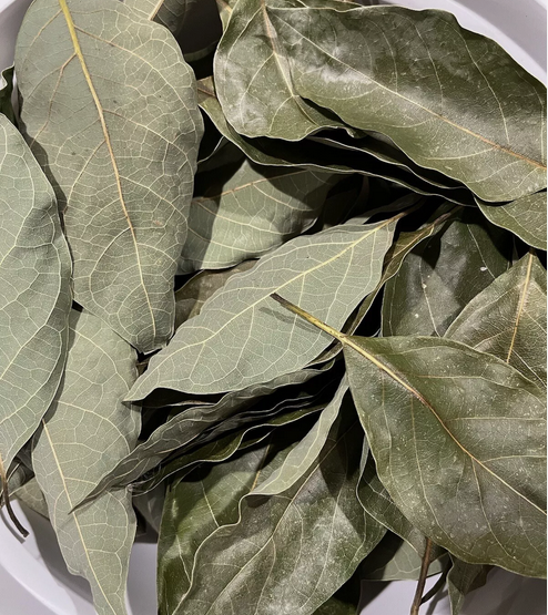 AVOCADO LEAVES for tea