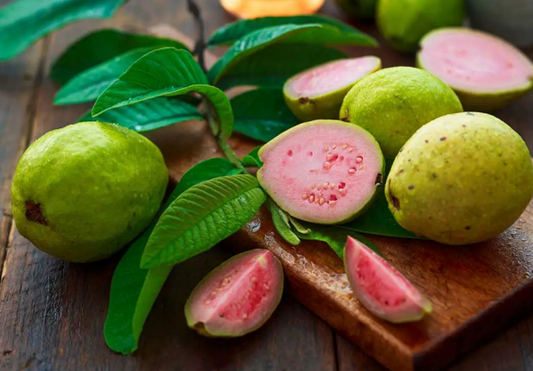 NEW! GUAVA LEAVES