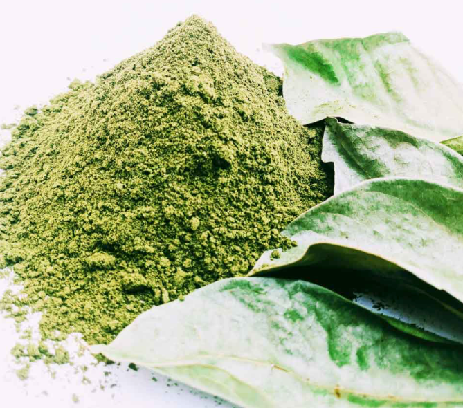 Back in Stock! SOURSOP LEAF POWDER