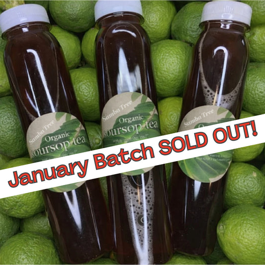 JANUARY BATCH SOLD OUT! ORGANIC BOTTLED SOURSOP TEA!