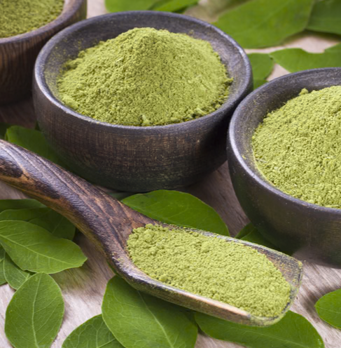 Back in Stock! SOURSOP LEAF POWDER