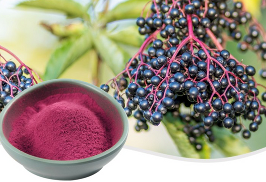 ELDERBERRY JUICE POWDER