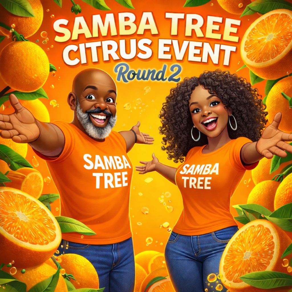 ROUND 2! SAMBA SEEDED CITRUS BOXES!