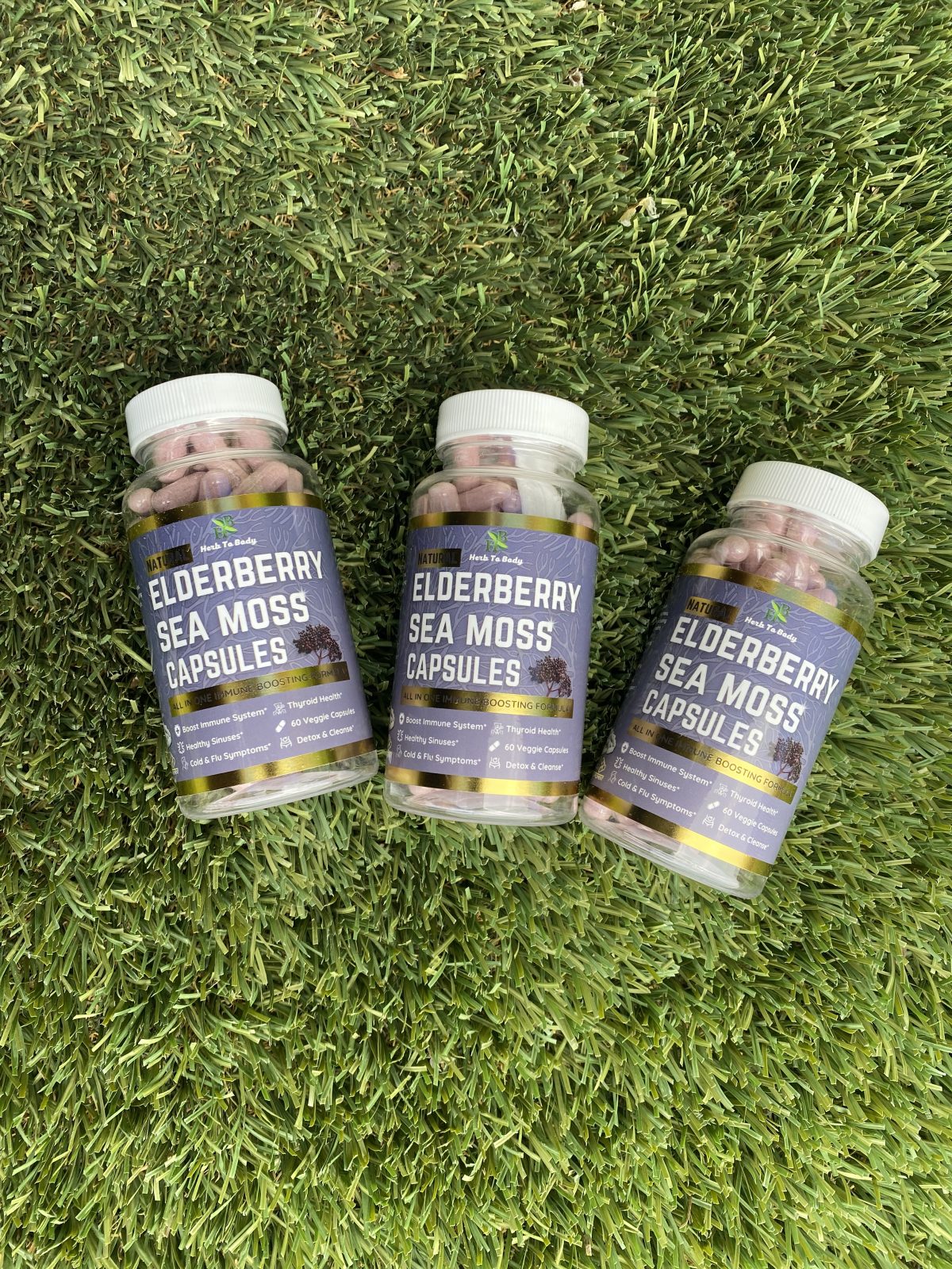 Elderberry Sea Moss Capsules - 60 Count - Image 2
