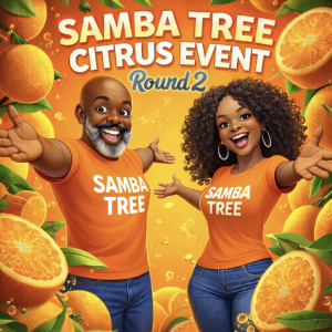 ROUND 2! SAMBA SEEDED CITRUS BOXES!