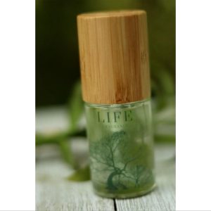 Brand New! FRESH BAMBOO FRAGRANCE