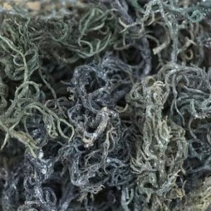 MOSS SUPER SALE! - CHLOROPHYLL-RICH RAW GREEN SEA MOSS!