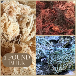 BULK SEA MOSS - 1 POUND