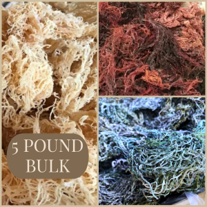 BULK SEA MOSS - 5 POUNDS (BULK PRICE IS ALREADY MARKED 43% OFF)