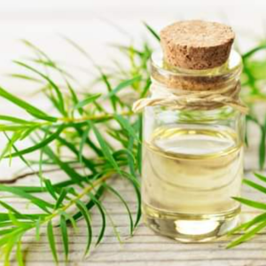 AUSTRALIAN TEA TREE ESSENTIAL OIL (Food Grade)