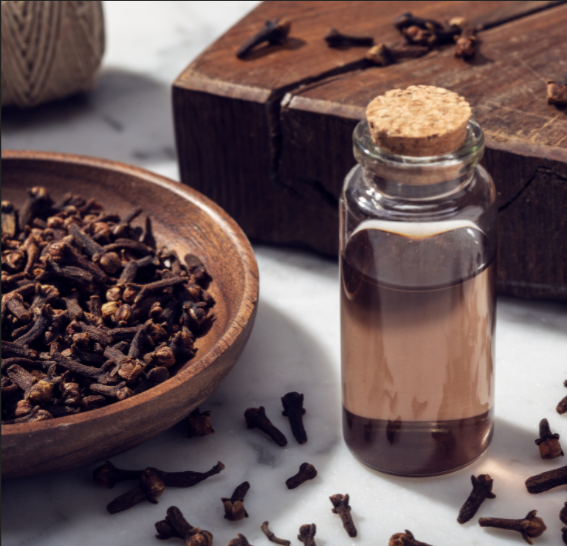 CLOVE BUD ESSENTIAL OIL (Food Grade)