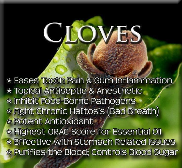CLOVE BUD ESSENTIAL OIL (Food Grade) - Image 2