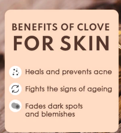CLOVE BUD ESSENTIAL OIL (Food Grade) - Image 3