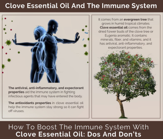 CLOVE BUD ESSENTIAL OIL (Food Grade) - Image 4