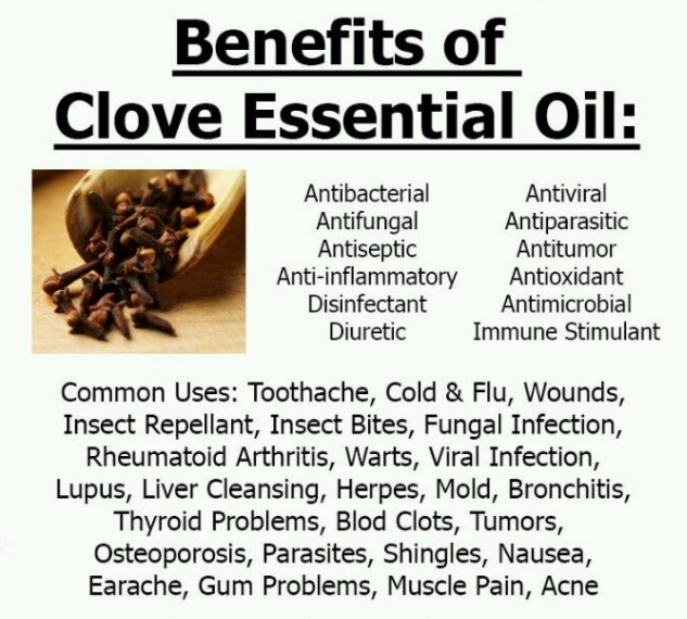 CLOVE BUD ESSENTIAL OIL (Food Grade) - Image 5