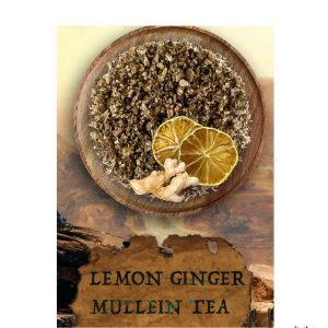TEA REFRESHERS: Lemon Ginger Mullein Tea