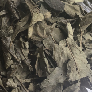 WEST AFRICAN KINKELIBA TEA! aka 'The Health Tree'