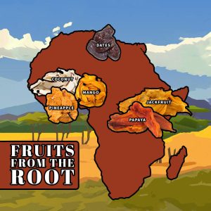 BULK FRUITS FROM THE ROOT (Sourced from Africa) -1 POUND