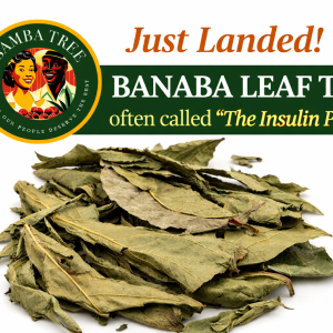 BANABA LEAF TEA - "The Insulin Plant"