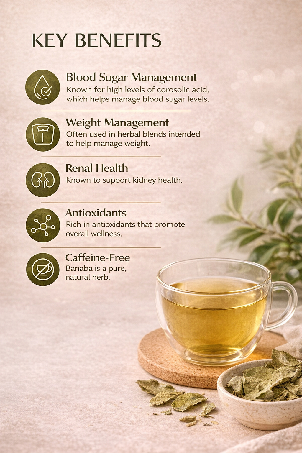 BANABA LEAF TEA - "The Insulin Plant" - Image 3