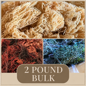 BULK SEA MOSS - 2 POUNDS