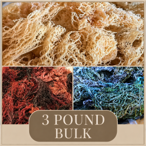 BULK SEA MOSS - 3 POUNDS