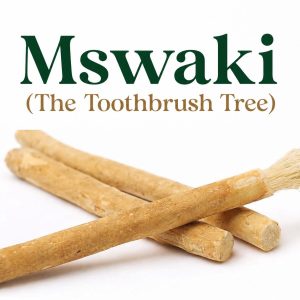 Mswaki Toothbrush Tree Sticks (with holder)